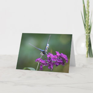Mariposa, tarjeta