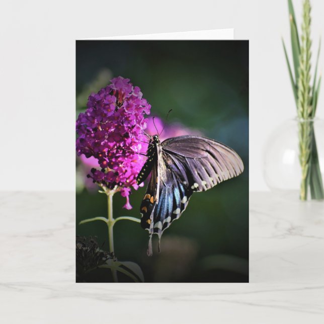 Mariposa, tarjeta (Anverso)