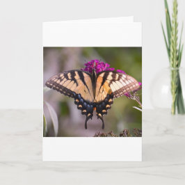 Mariposa, tarjeta