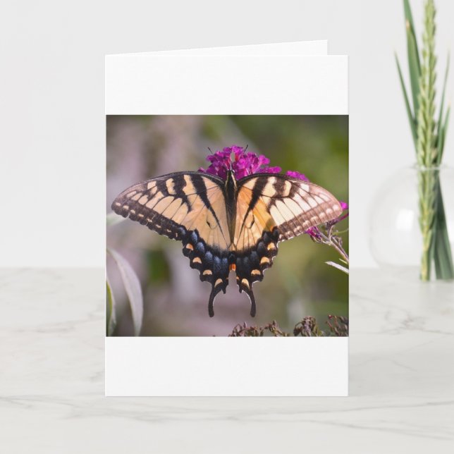 Mariposa, tarjeta (Anverso)