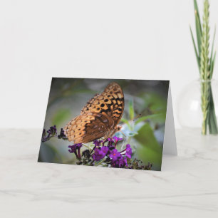 Mariposa, tarjeta