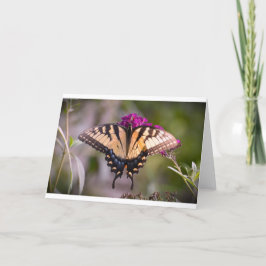 Mariposa, tarjeta