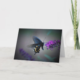Mariposa, tarjeta