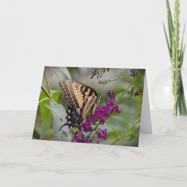 Mariposa, tarjeta (Anverso)