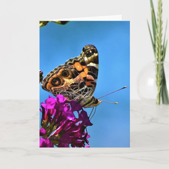 Mariposa, tarjeta (Anverso)