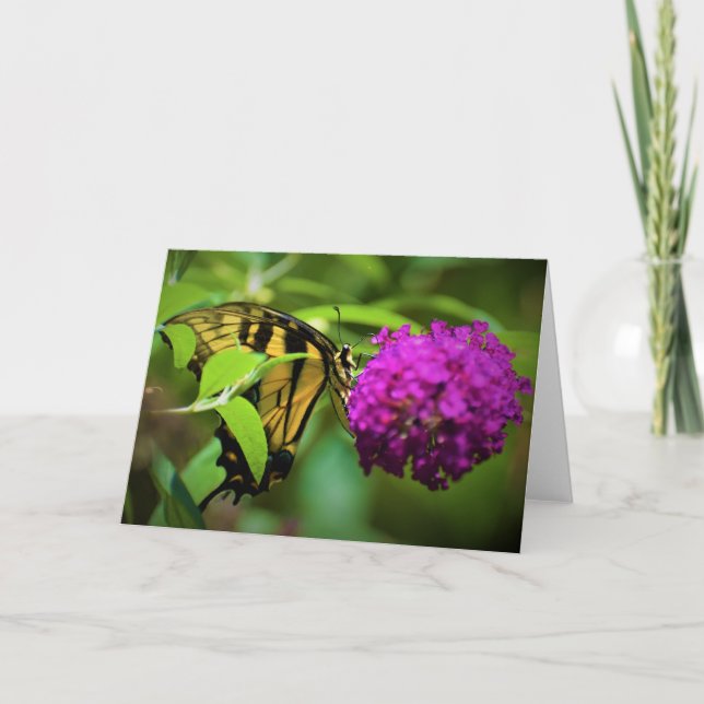 Mariposa, tarjeta (Anverso)