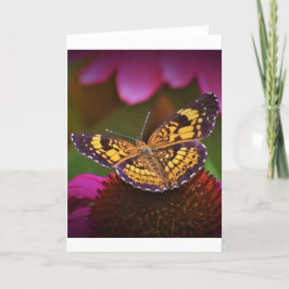 Mariposa, tarjeta