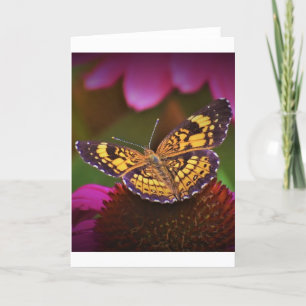 Mariposa, tarjeta