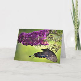 Mariposa, tarjeta