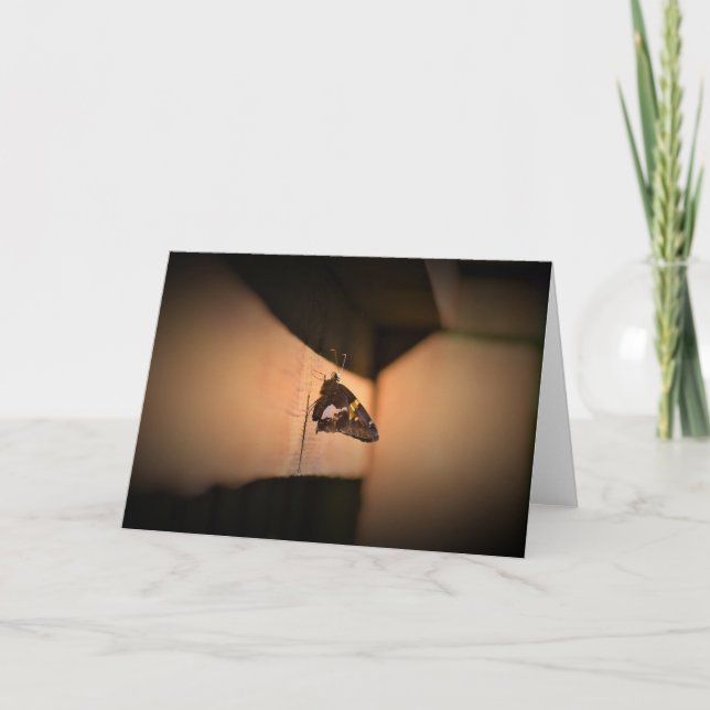 Mariposa, tarjeta (Anverso)
