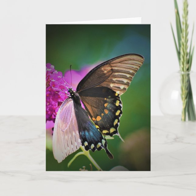 Mariposa, tarjeta (Anverso)