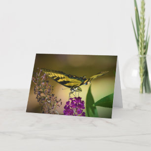 Mariposa, tarjeta