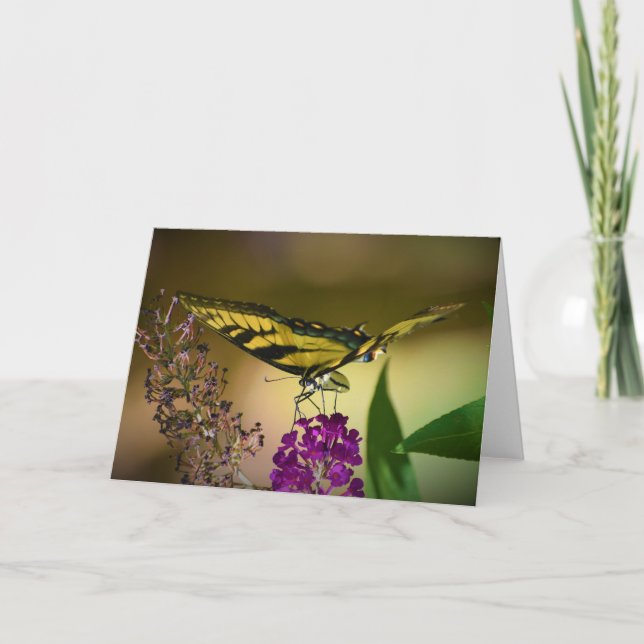 Mariposa, tarjeta (Anverso)