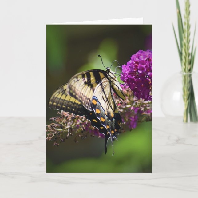 Mariposa, tarjeta (Anverso)