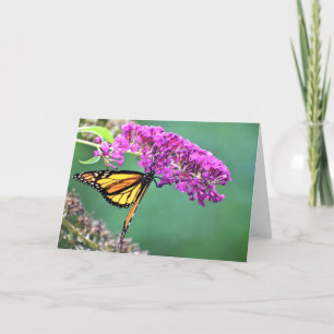 Mariposa, tarjeta