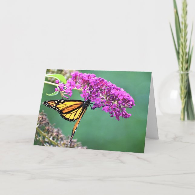 Mariposa, tarjeta (Anverso)