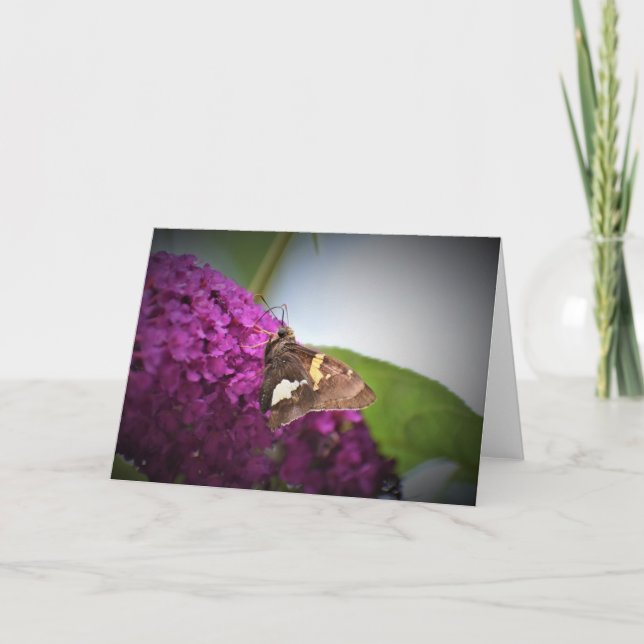 Mariposa, tarjeta (Anverso)