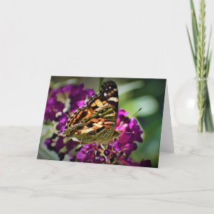 Mariposa, tarjeta
