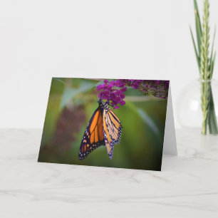 Mariposa, tarjeta