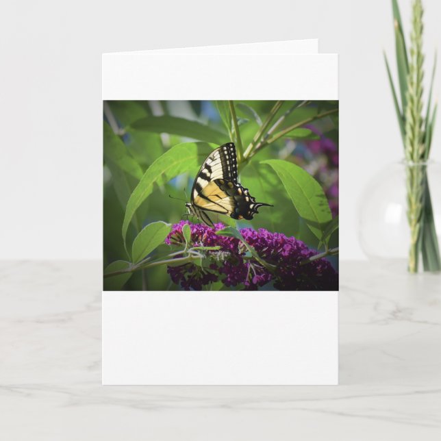 Mariposa, tarjeta (Anverso)