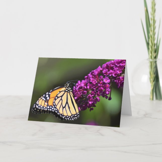 Mariposa, tarjeta (Anverso)