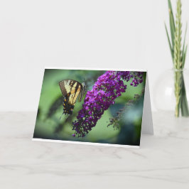 Mariposa, tarjeta