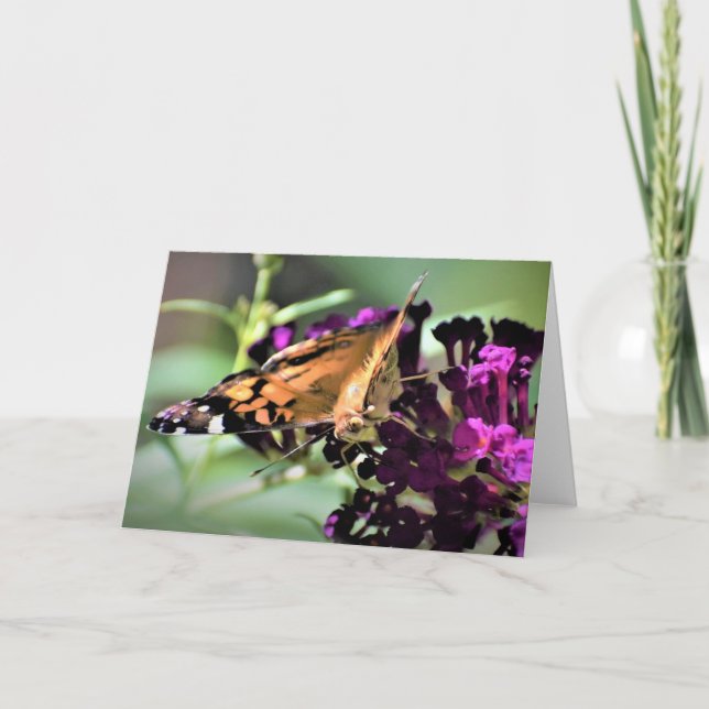 Mariposa, tarjeta (Anverso)