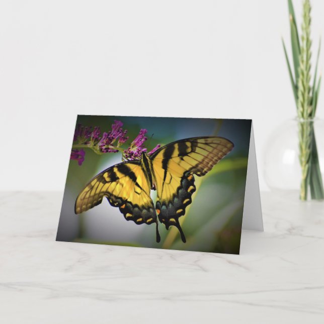 Mariposa, tarjeta (Anverso)