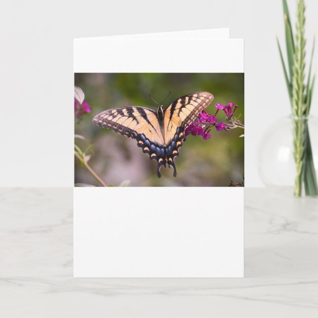 Mariposa, tarjeta (Anverso)