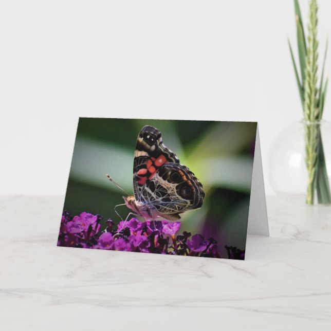 Mariposa, tarjeta (Anverso)