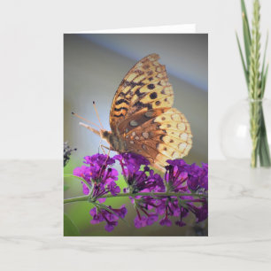Mariposa, tarjeta