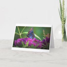 Mariposa, tarjeta