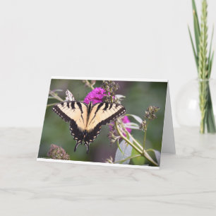 Mariposa, tarjeta