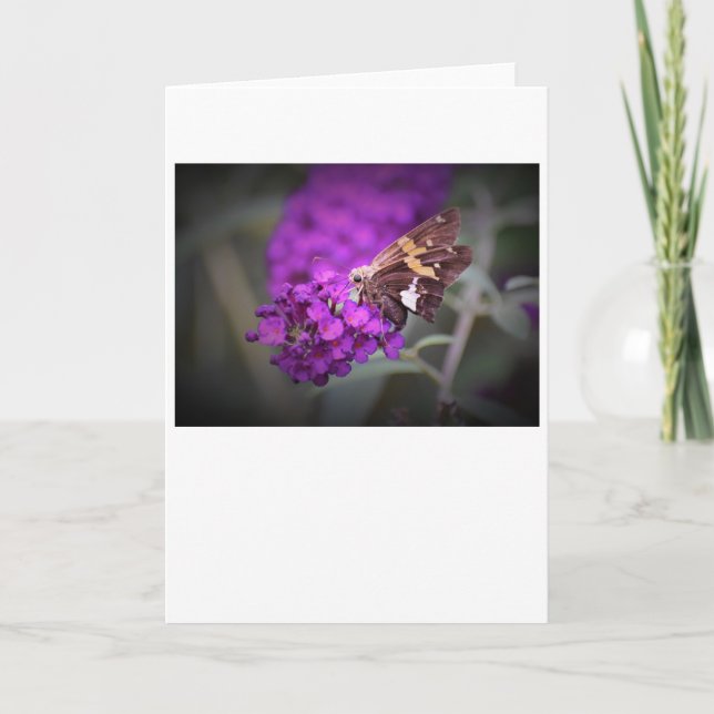 Mariposa, tarjeta (Anverso)