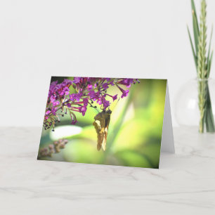 Mariposa, tarjeta