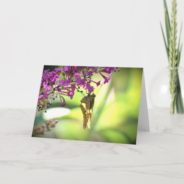 Mariposa, tarjeta (Anverso)