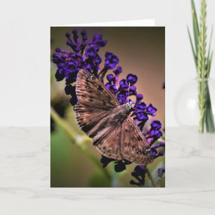 Mariposa, tarjeta