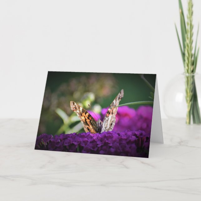 Mariposa, tarjeta (Anverso)