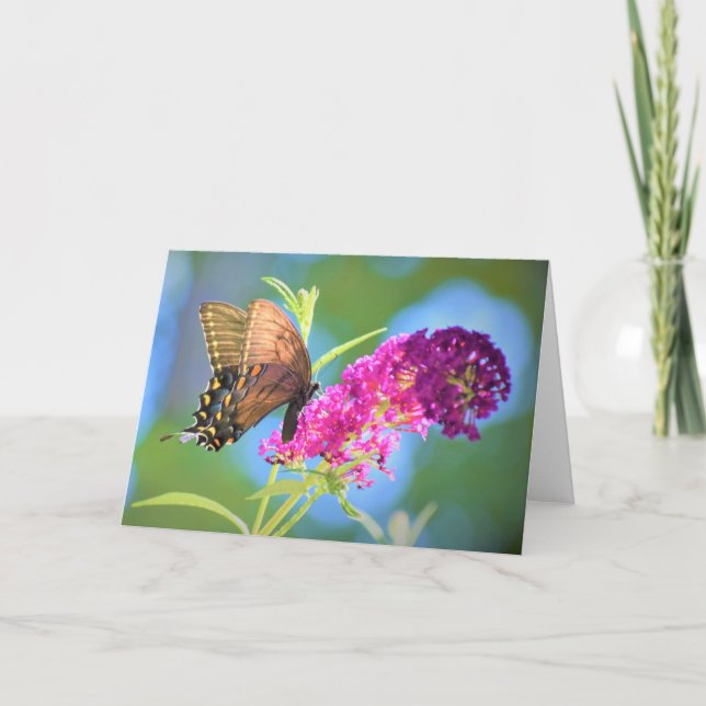 Mariposa, tarjeta (Anverso)