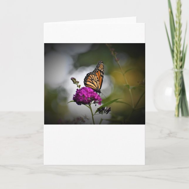 Mariposa, tarjeta (Anverso)