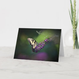 Mariposa, tarjeta