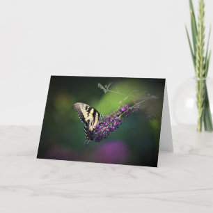 Mariposa, tarjeta