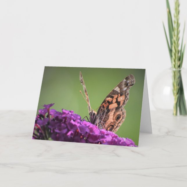 Mariposa, tarjeta (Anverso)