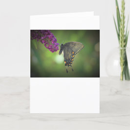 Mariposa, tarjeta
