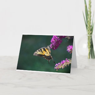 Mariposa, tarjeta