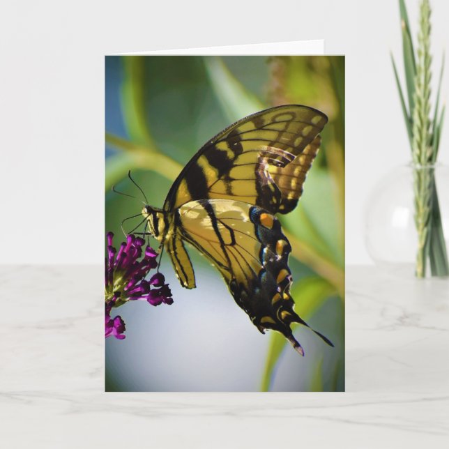 Mariposa, tarjeta (Anverso)