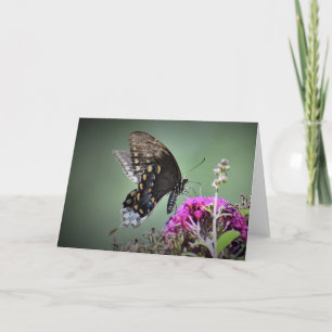 Mariposa, tarjeta