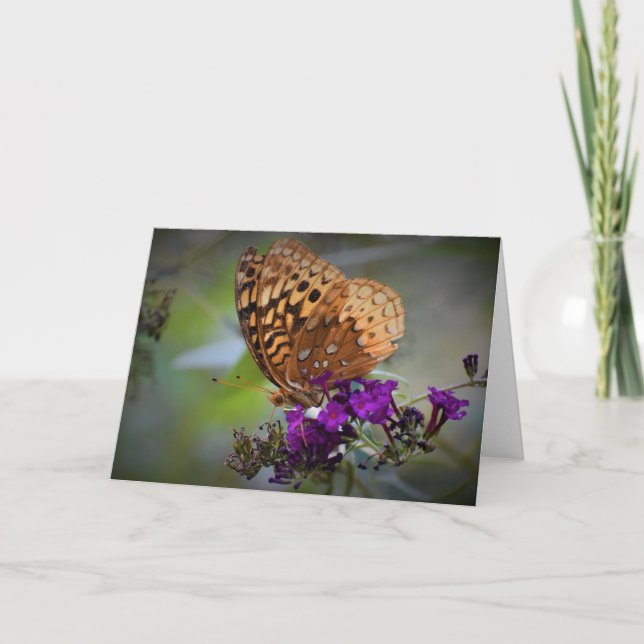 Mariposa, tarjeta (Anverso)