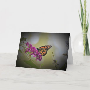Mariposa, tarjeta