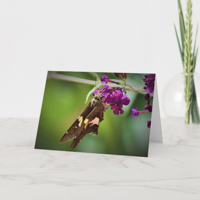 Mariposa, tarjeta (Anverso)